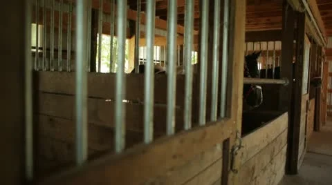 Horses in Stalls Vídeos de archivo 21466034