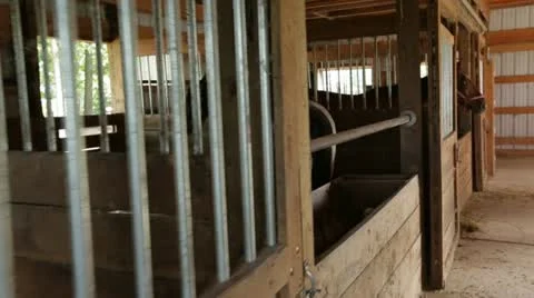 Horses in Stalls Stock Footage 21788591