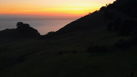 Horses sunset  silhouette Stock Footage 88889323