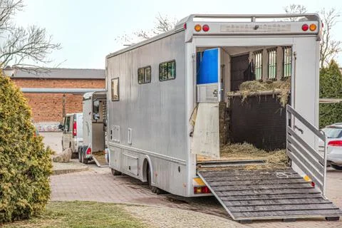 Horses in the trailer Stock Photos