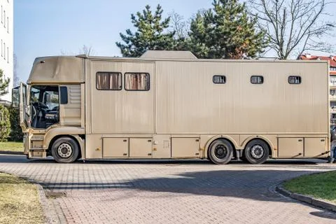Horses in the trailer Stock Photos