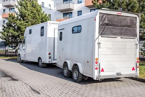 Horses in the trailer Stock Photos