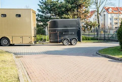 Horses in the trailer Stock Photos