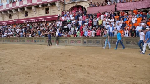 Horses at the Trial Race of the Palio di Siena Stock Footage