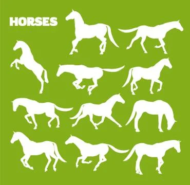 Horses In Various Poses Stock Illustration