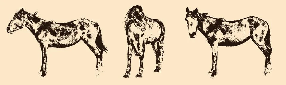 Horses vector illustrations set Stock Illustration