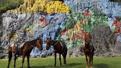 Horses in Viñales Valley Video stock 129891635