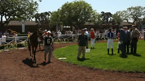 HORSES WARMING UP BEFORE RACE Stock-Footage 10917962