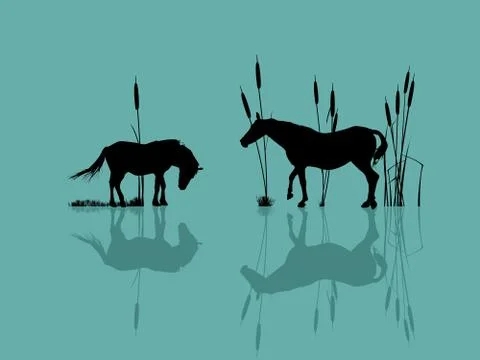 Horses by the water Stock Illustration
