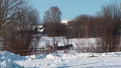 Horses in a winter village pull sleds with people Vidéo 336848590