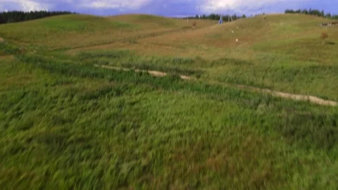 Horses#10 스톡 동영상 202024255