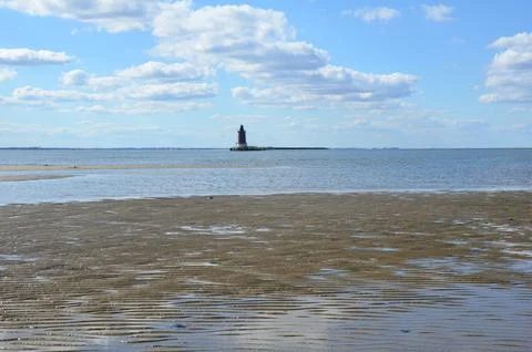 Horseshoe crab shells and lighthouse and water at beach Stock Photos