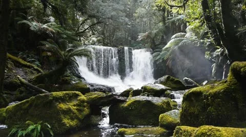 Horseshoe falls Stock Footage 12467462