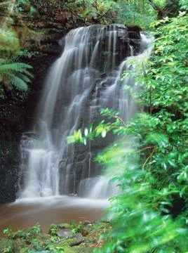 Horseshoe falls Stock Photos