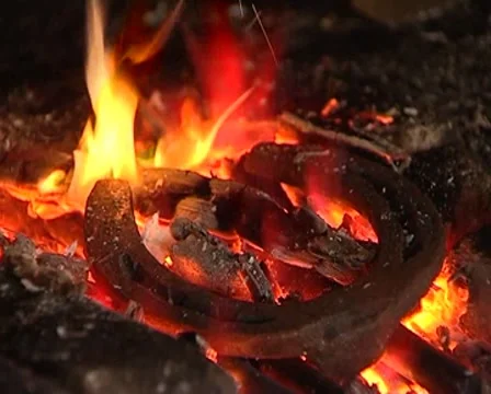 Horseshoe Stock Footage 8686795