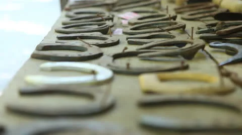 Horseshoe Stock Footage 23523511