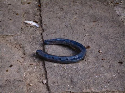 Horseshoe on the ground Foto stock