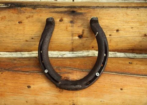 Horseshoe 스톡 사진