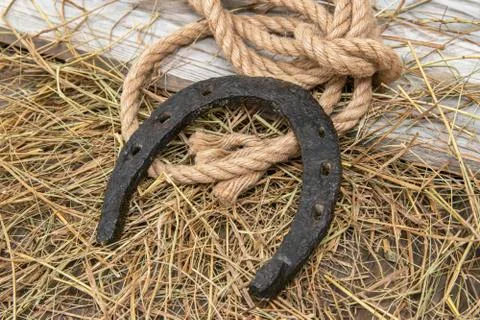 Horseshoe. Stock Photos