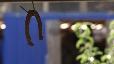 Horseshoe weighs Stock Footage 265072586