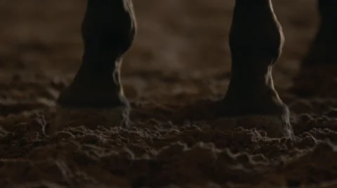 Horseshoes in Dirt Video stock 52323481
