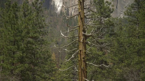 Horsetail Fall in Yosemite Video stock 100738289