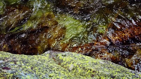 Horsetail Falls, 2017 Stock Footage 77015344