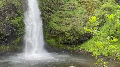 Horsetail Falls Clip Video stock 276227220