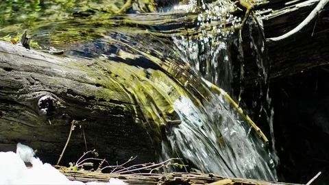 Horsetail Falls, Desolation Wilderness Stock Footage 77007945