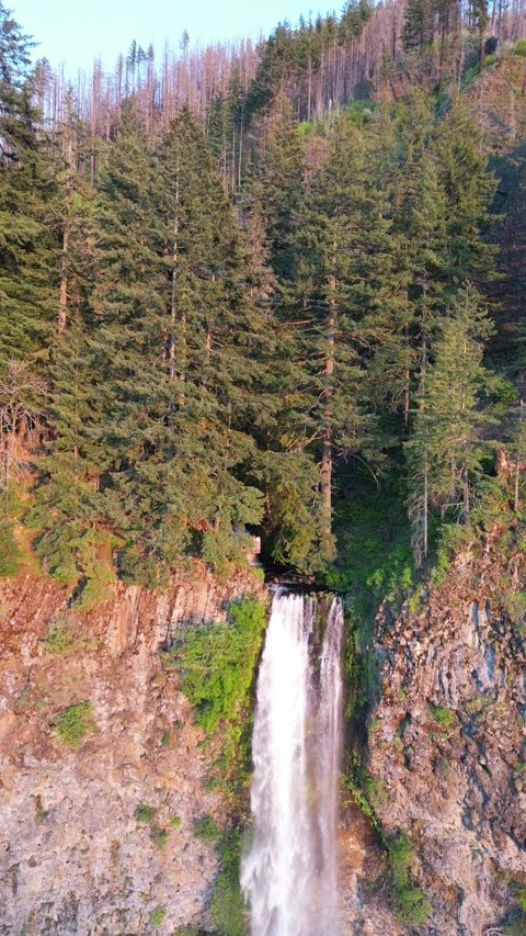 Horsetail Falls - Oregon Stock Footage 291876495