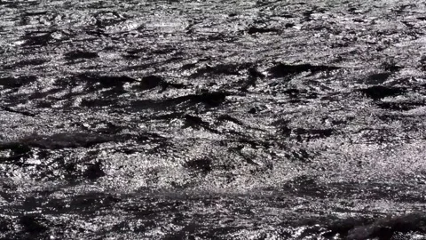 Hörte, Skåne, Sweden Stock Footage 220786472