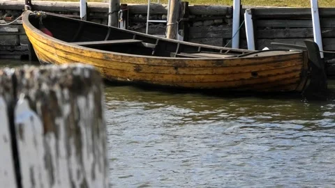 Hörte, Skåne, Sweden Stock Footage 220786645