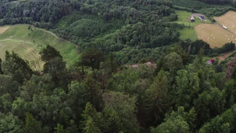The Hortekollen Viewpoint in Norway Vídeo Stock 134207515