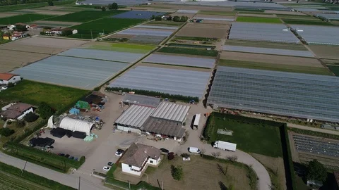 Horticultural farm from the drone Stock-Footage 126124589