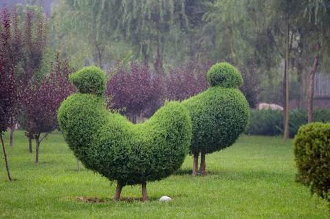 Horticultural model, Stock Photos