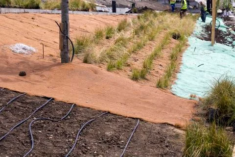 Horticultural solution with irrigation for plants Stock Photos