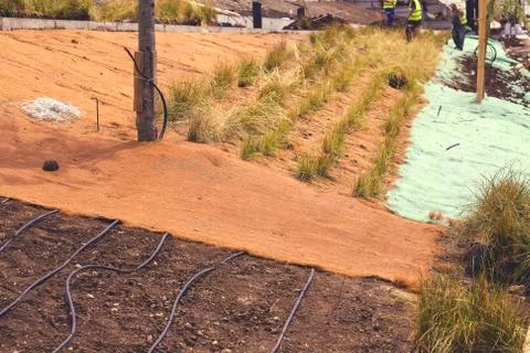 Horticultural solution with irrigation for plants Stock Photos