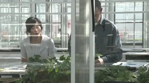 Horticulture Stock Footage 11248964