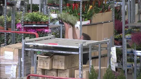 Horticulture Stock Footage 11248979