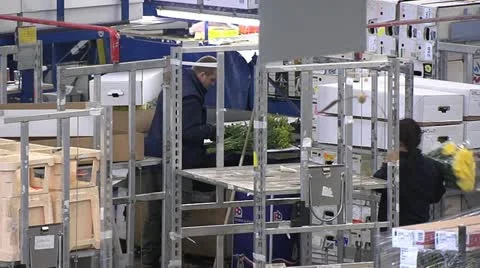 Horticulture Stock Footage 11248988