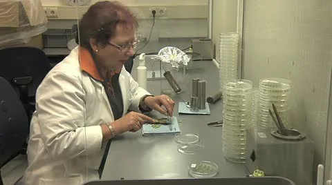 Horticulture Stock Footage 11249084