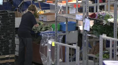 Horticulture Stock Footage 11249183