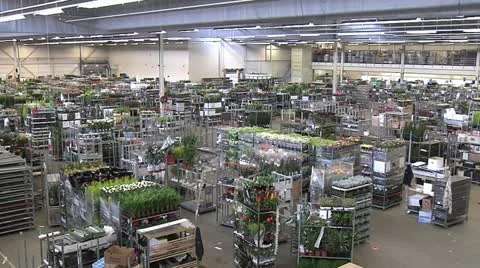 Horticulture Stock Footage 11249368