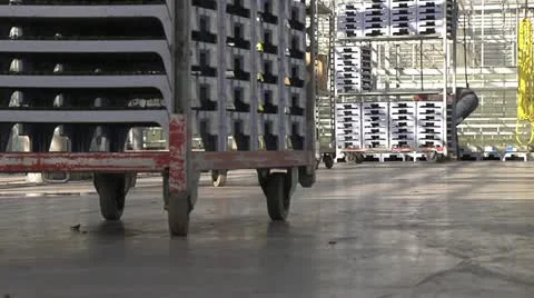 Horticulture Stock Footage 11249398