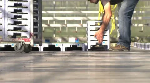 Horticulture Stock Footage 11249666