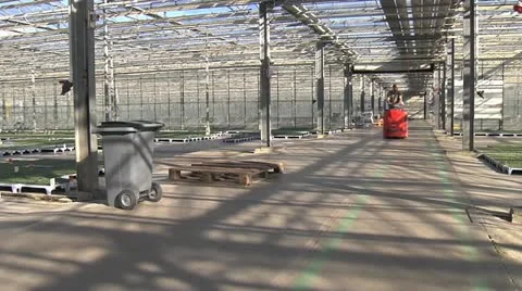 Horticulture Stock Footage 11249903