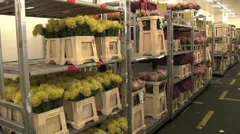 Horticulture Stock Footage 11250445