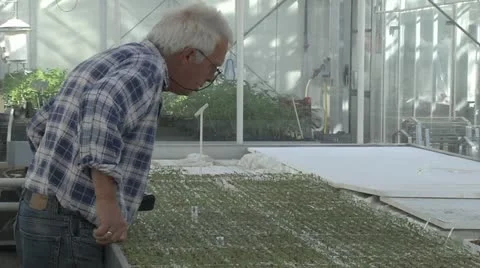 Horticulture Stock Footage 11250464