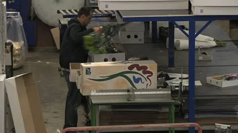 Horticulture Stock Footage 11250976