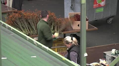 Horticulture Stock Footage 11250992